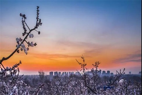 關(guān)于中央、省、市出臺的促進企業(yè)復(fù)工復(fù)產(chǎn) 政策及主要內(nèi)容解讀