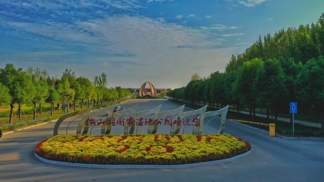 “云游”多彩濕地：濟寧微山湖濕地帶您領悟獨特的濕地之美！